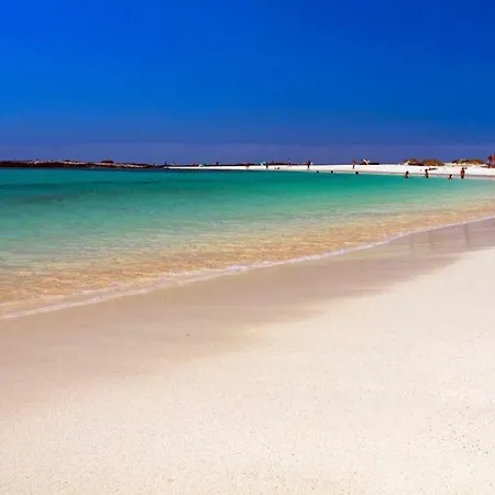 Sun Cotillo